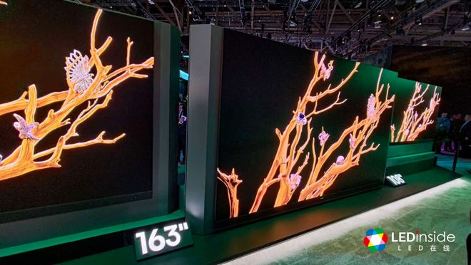 IN to the Future 红杉爱科学AG真人娱乐网址CES 2025回顾：DIVE(图6)