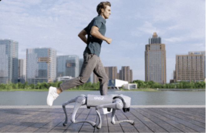 IN to the Future 红杉爱科学AG真人娱乐网址CES 2025回顾：DIVE(图10)