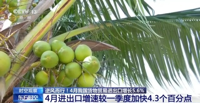 外贸进出口表现亮眼背后的底气AG真人平台关税战下 中国(图14)